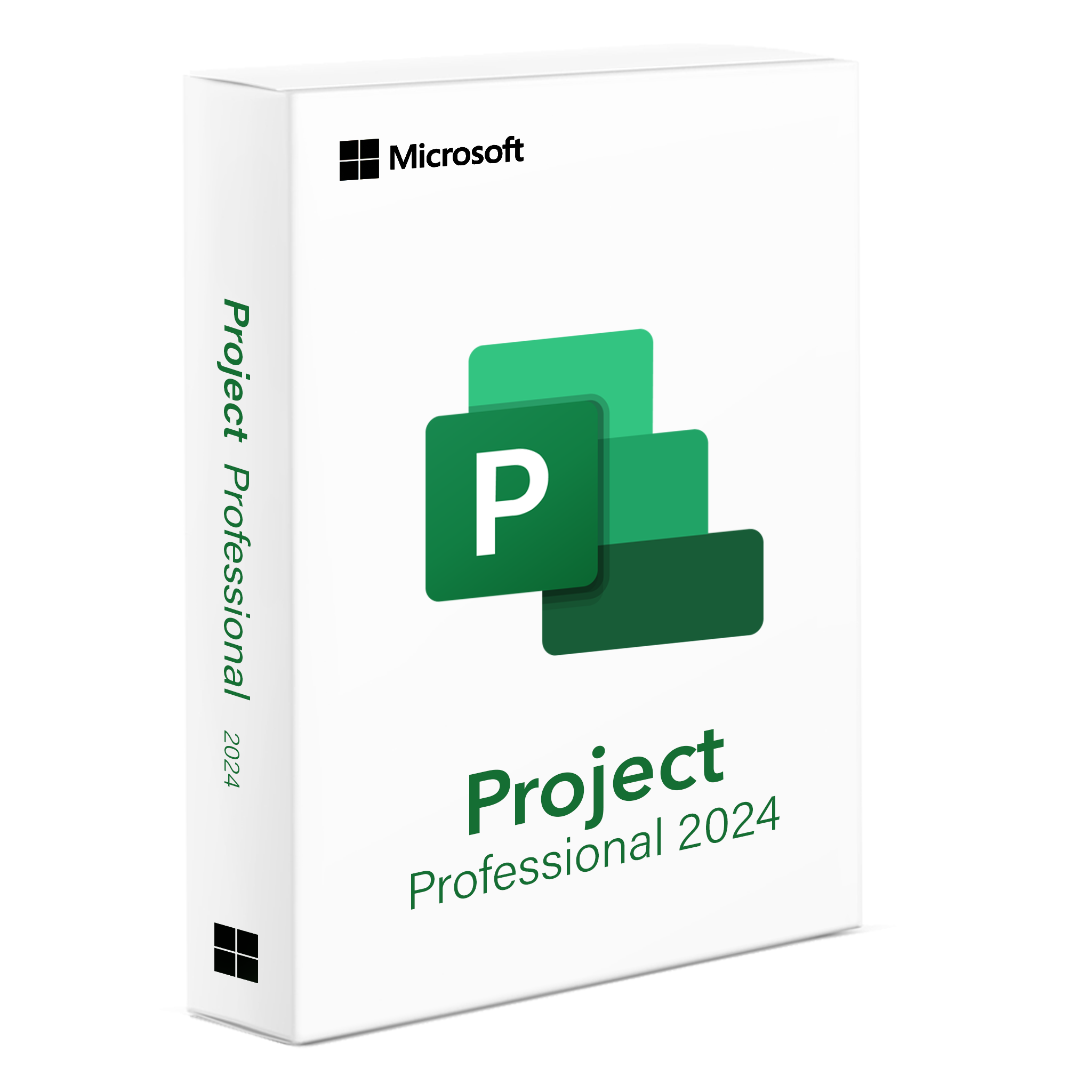 Project 2024 Professionnel