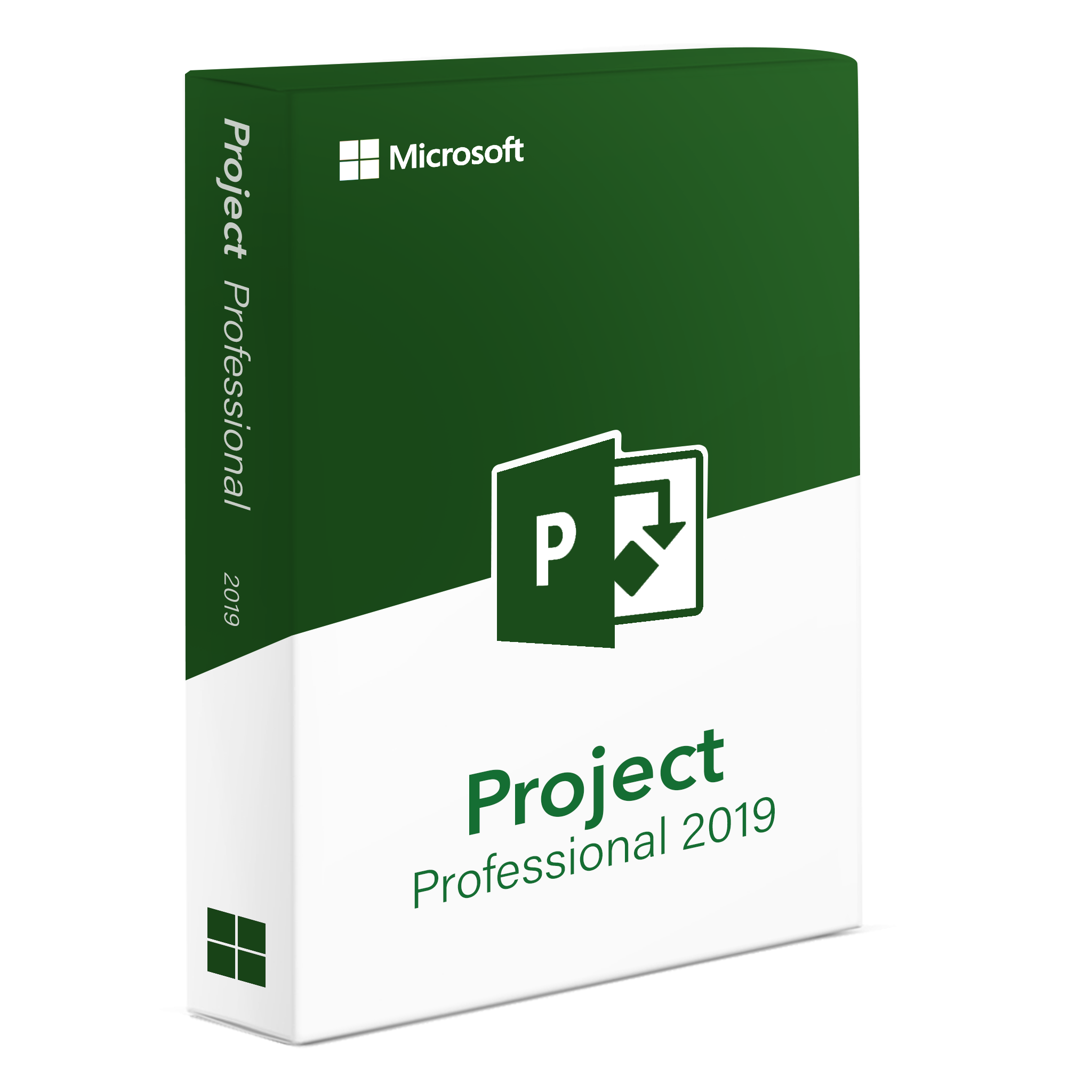 Project 2019 Professionnel