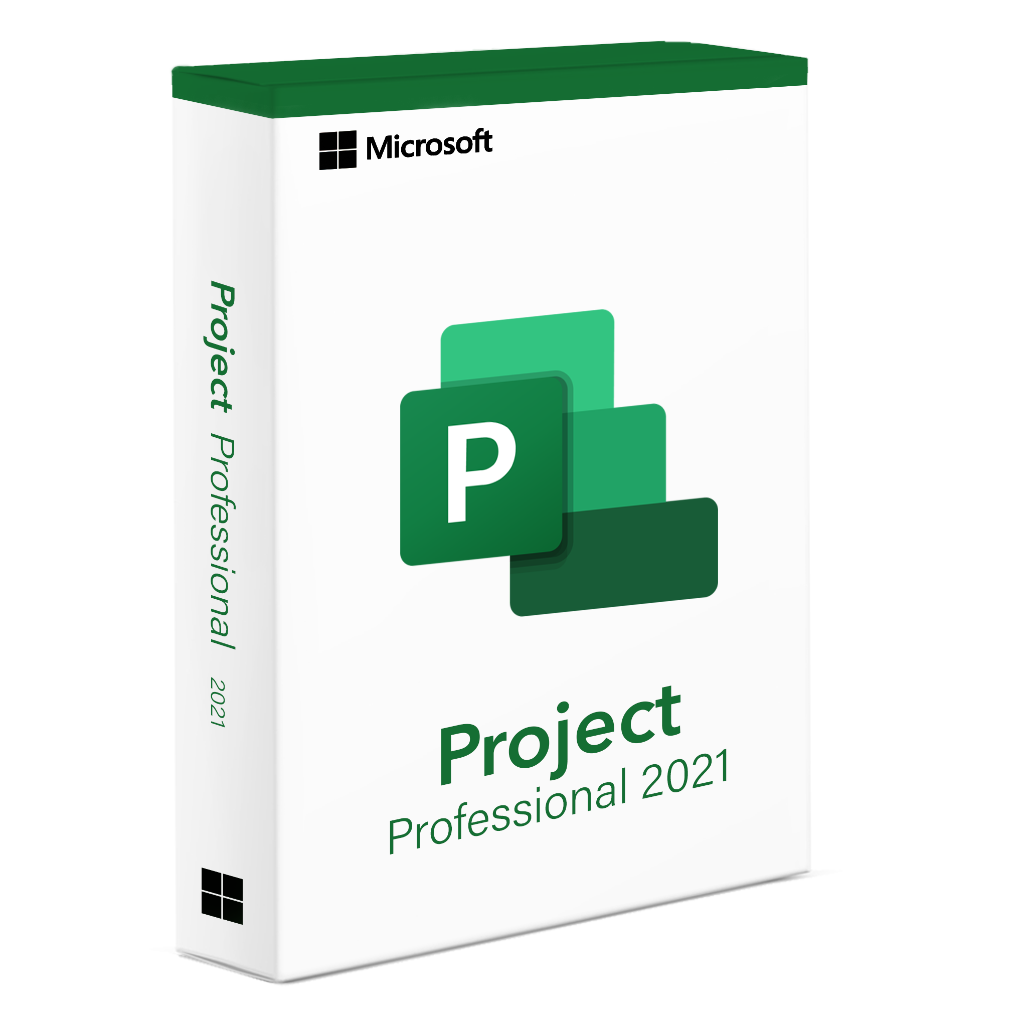 Project 2021 Professionnel