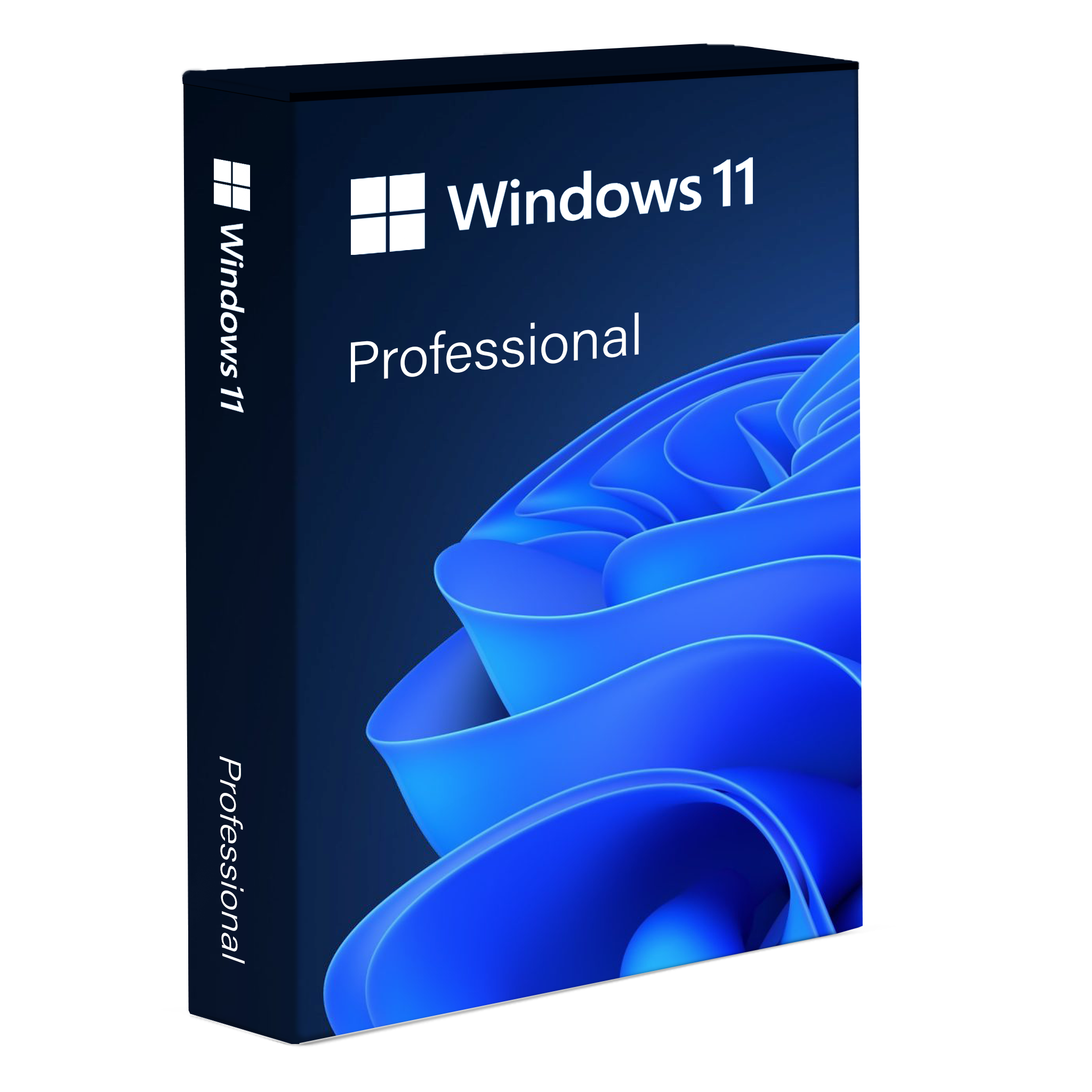 Windows 11 Professionnel