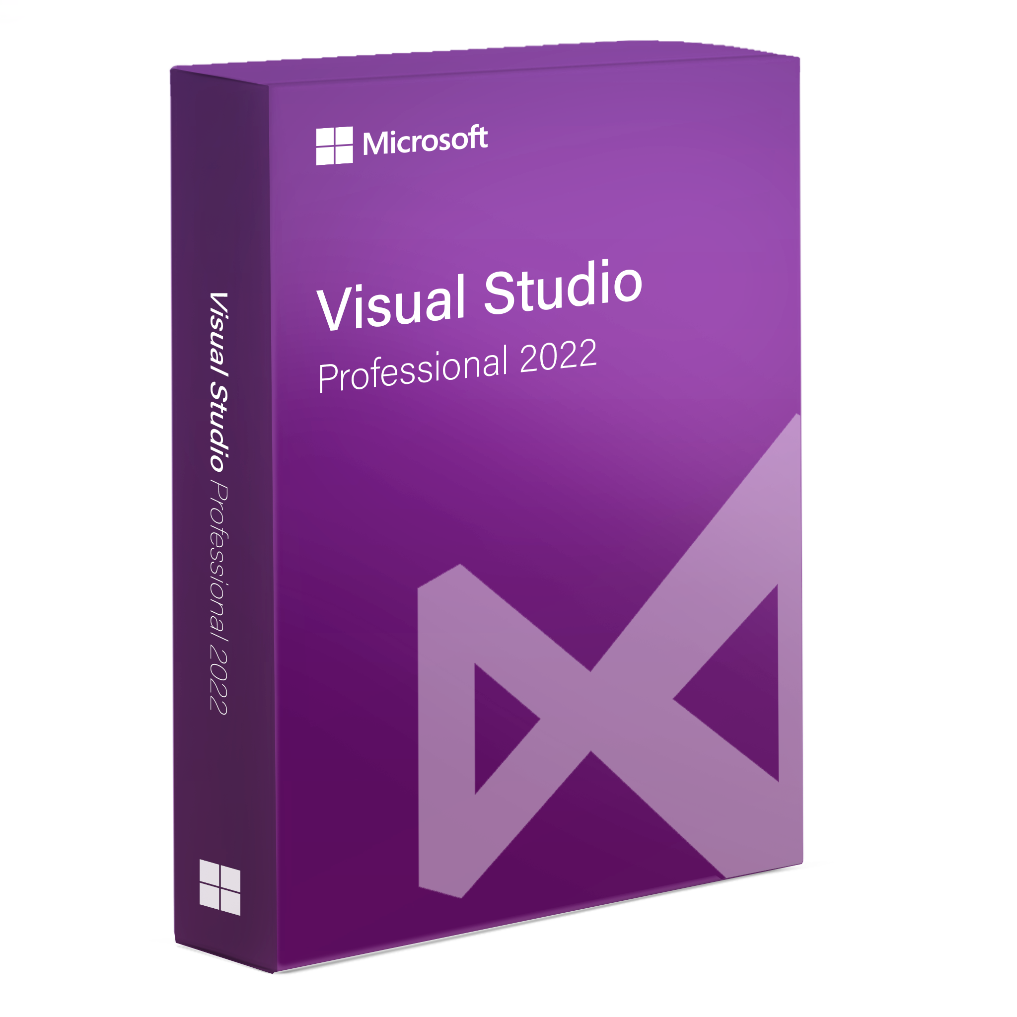 Visual Studio Professional 2022