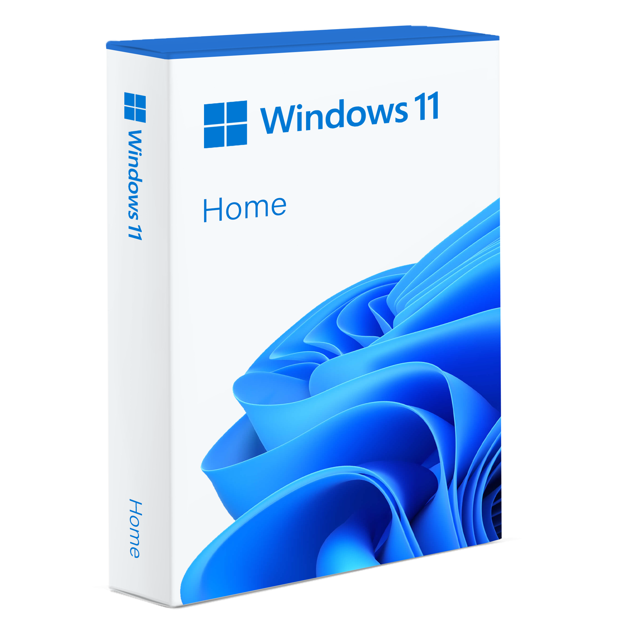 Windows 11 Famille (Home)