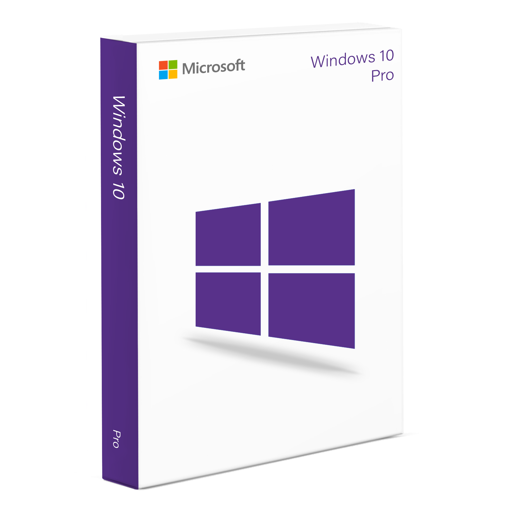 Windows 10 Professionnel