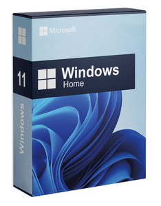 Windows 11 Famille (Home)