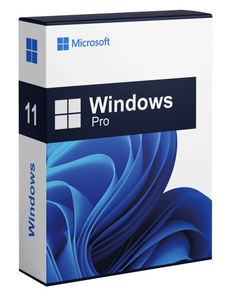 Windows 11 Professionnel