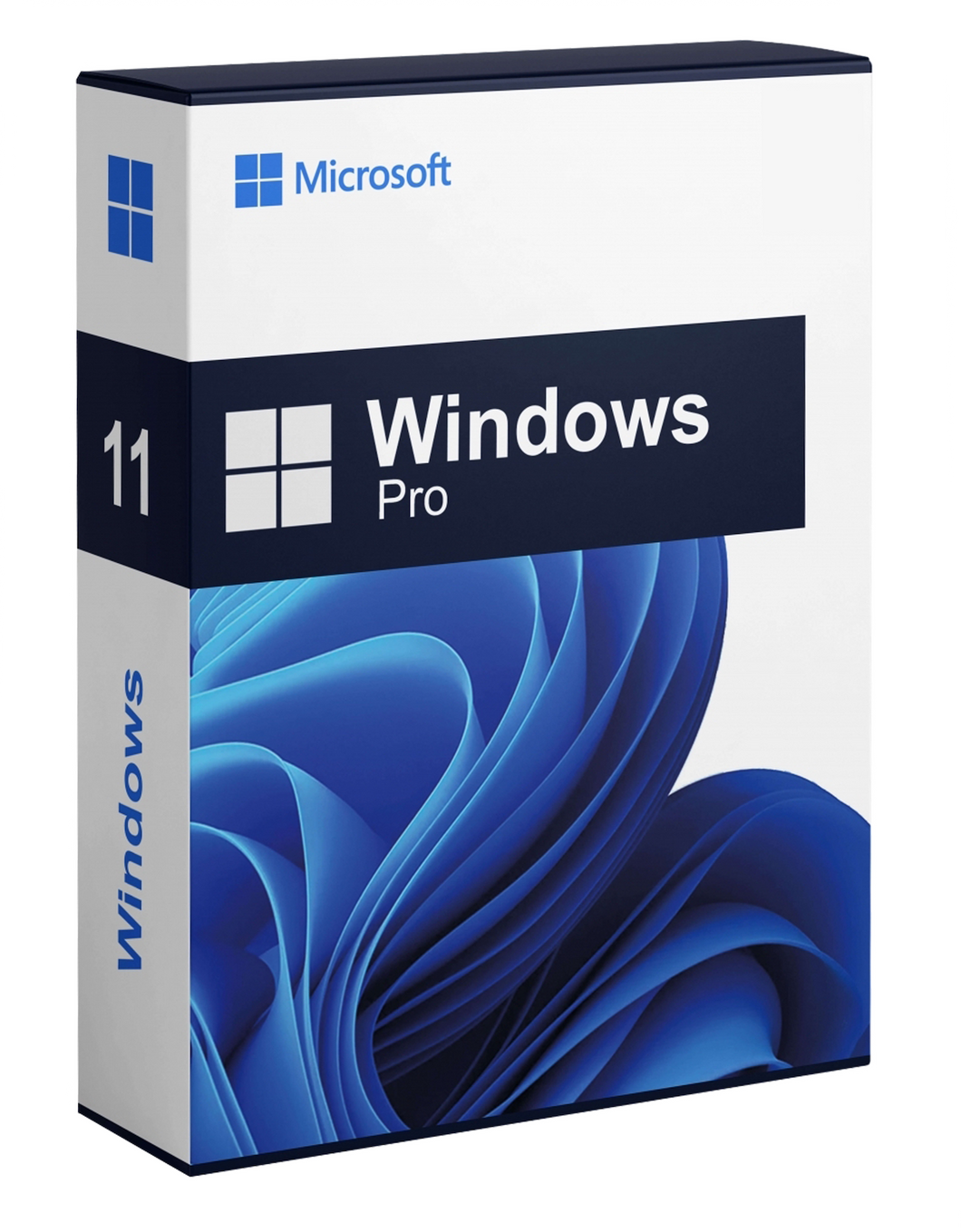 Windows 11 Professionnel
