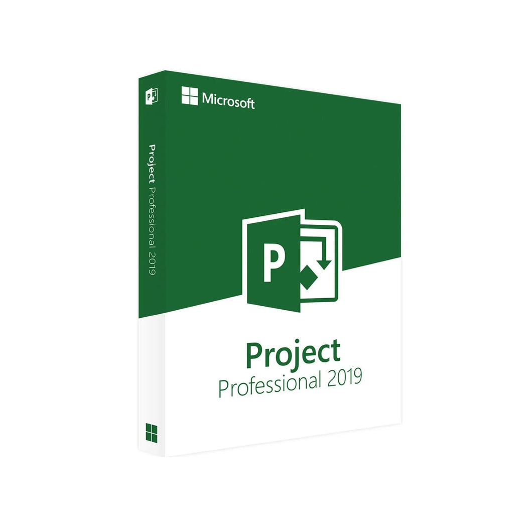 Project 2019 Professionnel